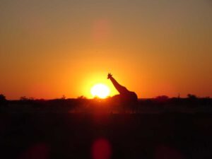 namibia tag20b privat